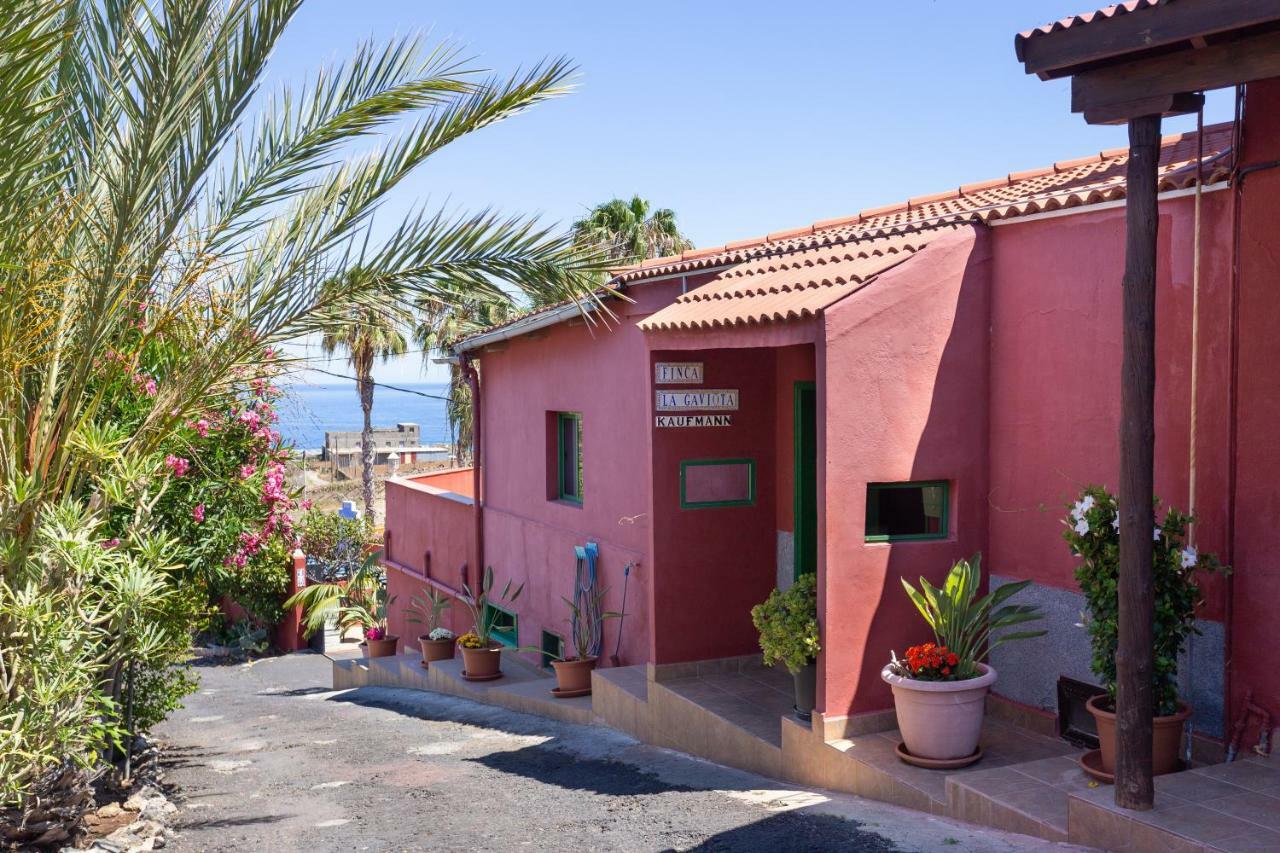 Finca La Gaviota - Maxi Icod De Los Vinos Exterior foto